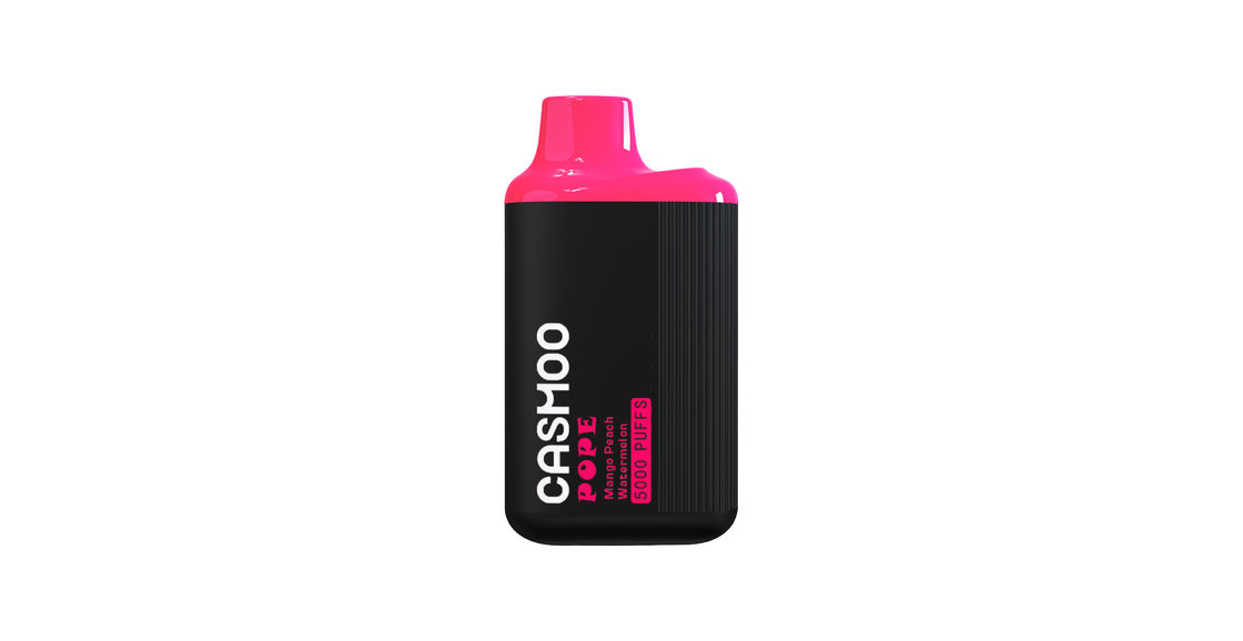 Long Lasting Vape Liquid Electronic Cigarette 10ML 5000 Puff Rechargeable With Mesh Coil