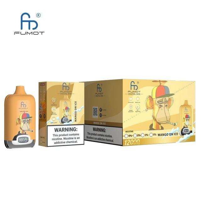 2% 5% Nic Salt Disposable Vape 12000 Puffs 850mAh Rechargeable 20ML Randm Digital Box With Battery and Ejuice Display