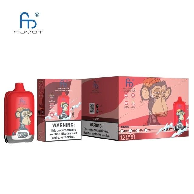 2% 5% Nic Salt Disposable Vape 12000 Puffs 850mAh Rechargeable 20ML Randm Digital Box With Battery and Ejuice Display